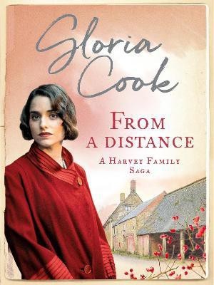 From A Distance(English, Paperback, Cook Gloria)