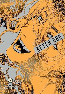 After God, Vol. 4(English, Paperback, Eno Sumi)