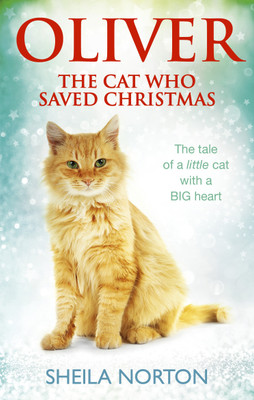 Oliver The Cat Who Saved Christmas(English, Paperback, Norton Sheila)