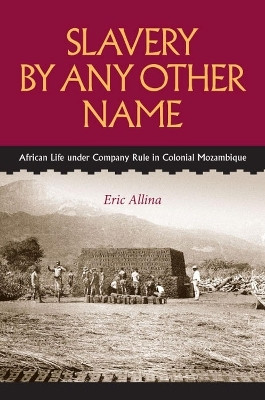 Slavery by Any Other Name(English, Hardcover, Allina Eric)