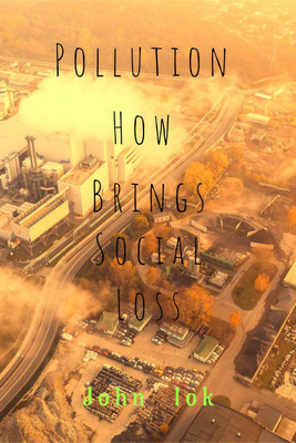 Pollution How Brings(English, Paperback, Lok John)