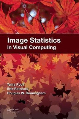 Image Statistics in Visual Computing(English, Electronic book text, Pouli Tania)