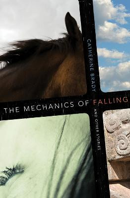 The Mechanics of Falling and Other Stories(English, Hardcover, unknown)
