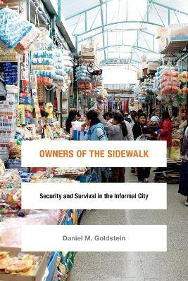 Owners of the Sidewalk(English, Hardcover, Goldstein Daniel M.)
