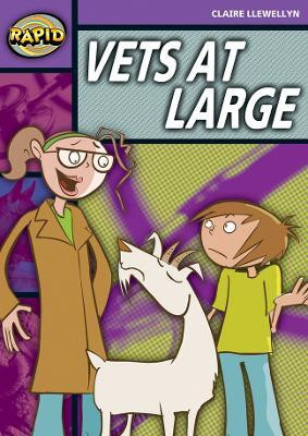 Rapid Reading: Vets at Large (Stage 1, Level 1B)(English, Paperback, Llewellyn Claire)