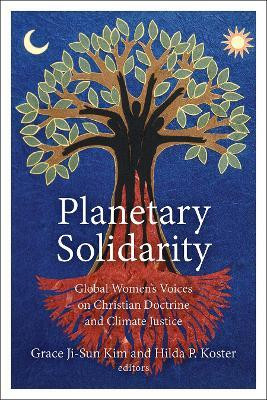 Planetary Solidarity(English, Hardcover, unknown)