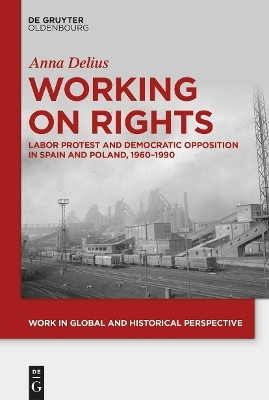 Working on Rights(English, Electronic book text, Delius Anna)