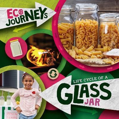 Life Cycle of a Glass Jar(English, Hardcover, Nelson Louise)