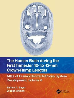 The Human Brain during the First Trimester 40- to 42-mm Crown-Rump Lengths(English, Paperback, Bayer Shirley A.)