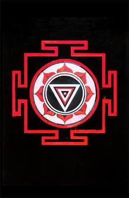 The Mountain Shadow(English, Hardcover, Roberts Gregory David)