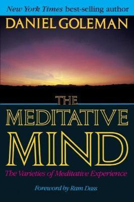 Meditative Mind(English, Paperback, Goeman Daniel)