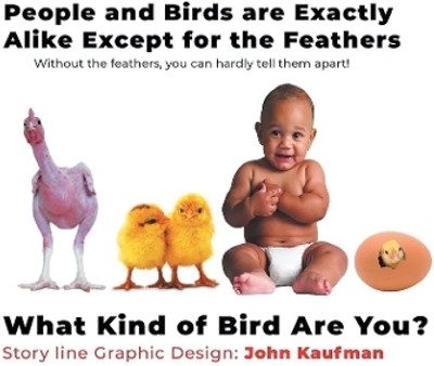 People and Birds are Exactly Alike Except for the Feathers(English, Hardcover, Kaufman John)