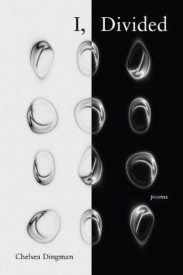 I, Divided(English, Paperback, Dingman Chelsea)