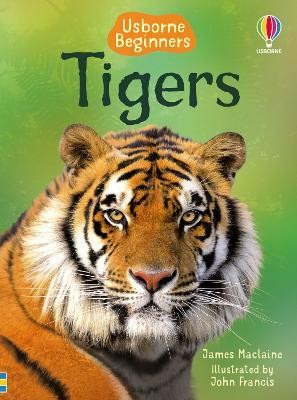 Tigers(English, Hardcover, Maclaine James)