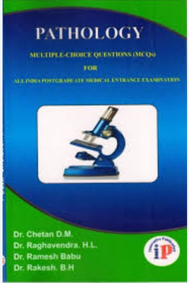 Up High(English, Hardcover, Hunt Matt)