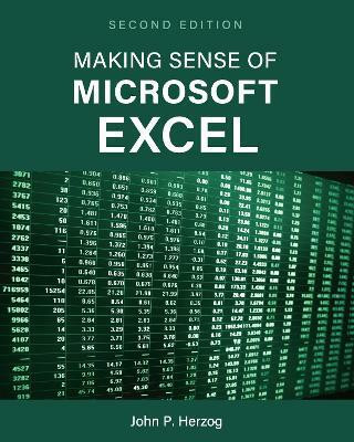 Making Sense of Microsoft Excel(English, Paperback, Herzog John P.)