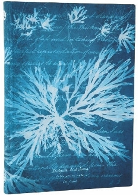 Sea Flowers (Anna Atkins' Cyanotypes) Midi Lined Softcover Journal (Elastic Band Closure)(English, Paperback, Paperblanks)