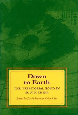 Down to Earth(English, Paperback, unknown)