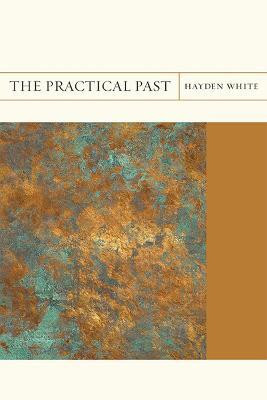 The Practical Past(English, Paperback, White Hayden)