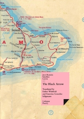 The Black Arrow(English, Paperback, Sanchez Leyva Jose Ramon)