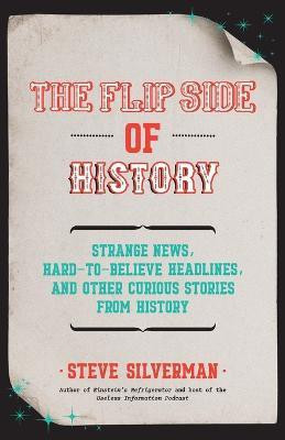 The Flip Side of History(English, Paperback, Silverman Steve)