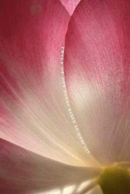 Phyla of Joy(English, Paperback, Lee Karen An-hwei)