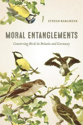 Moral Entanglements(English, Paperback, Bargheer Stefan)