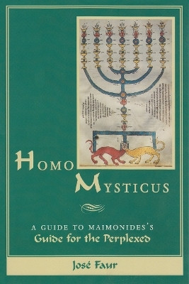 Homo Mysticus(English, Paperback, Faur Jose)