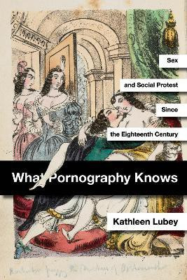 What Pornography Knows(English, Hardcover, Lubey Kathleen)