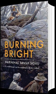 Burning Bright(English, Paperback, Mehrotra Deepti Priya)