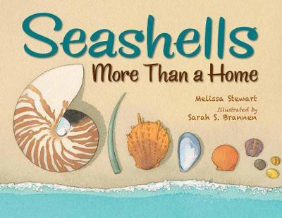 Seashells(English, Paperback, Stewart Melissa)