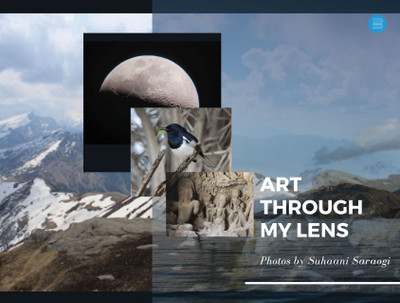 Art through My Lens(Hardcover, Suhaani Saraogi)