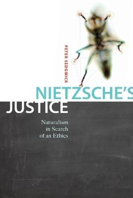 Nietzsche's Justice(English, Paperback, Sedgwick Peter R.)