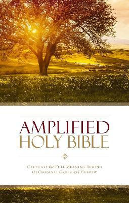 Amplified Holy Bible, Paperback(English, Paperback, unknown)