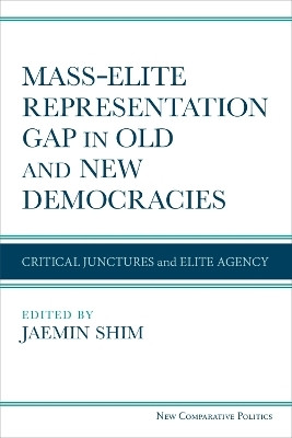 Mass-Elite Representation Gap in Old and New Democracies(English, Hardcover, unknown)