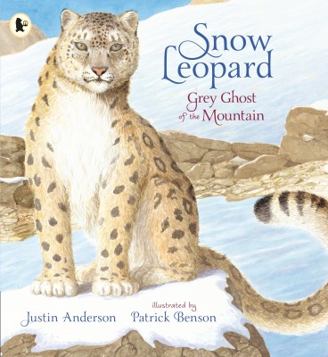 Snow Leopard: Grey Ghost of the Mountain(English, Paperback, Anderson Justin)