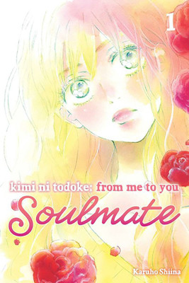 Kimi ni Todoke: From Me to You: Soulmate, Vol. 1(English, Paperback, Shiina Karuho)