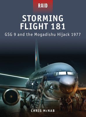 Storming Flight 181(English, Paperback, McNab Chris)