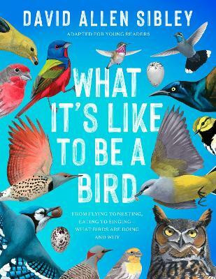 What It's Like to Be a Bird (Adapted for Young Readers)(English, Hardcover, Sibley David Allen)