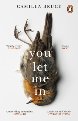 You Let Me In(English, Paperback, Bruce Camilla)