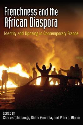 Frenchness and the African Diaspora(English, Paperback, unknown)