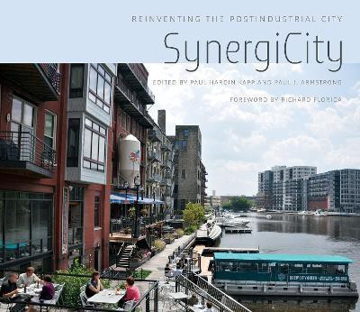 SynergiCity(English, Paperback, Kapp Paul Hardin)