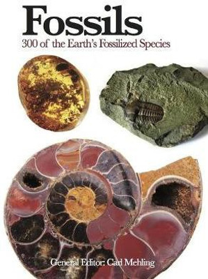 Fossils(English, Paperback, unknown)