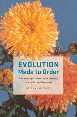 Evolution Made to Order(English, Hardcover, Curry Helen Anne)