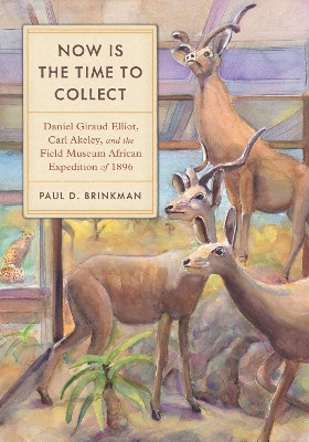 Now Is the Time to Collect(English, Paperback, Brinkman Paul D.)