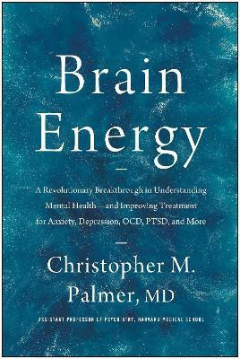 Brain Energy(English, Hardcover, Palmer Christopher M.)
