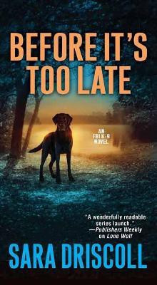Before It's Too Late(English, Paperback, Driscoll Sara)