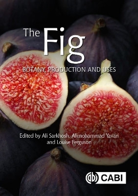 The Fig(English, Hardcover, unknown)