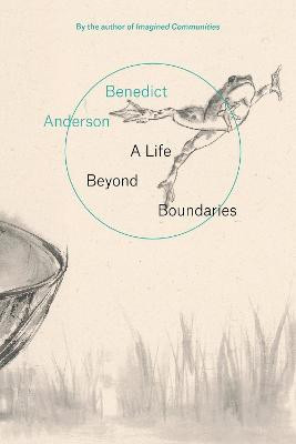 A Life Beyond Boundaries(English, Paperback, Anderson Benedict)
