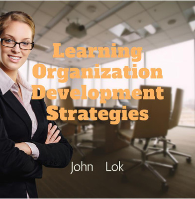 Learning Organization Development Strategies(English, Paperback, John Lok)